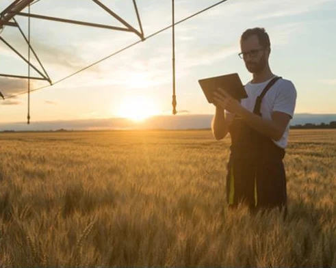 Farmer using a tablet in a field at sunset